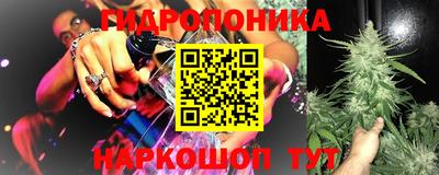 a pvp Новокубанск