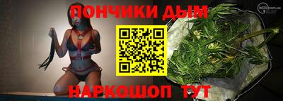 мдпв Новозыбков