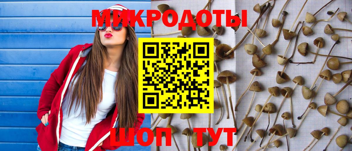 как найти наркотики  Вход с VPN  Пенза  Галлюциногенные грибы мухоморы 